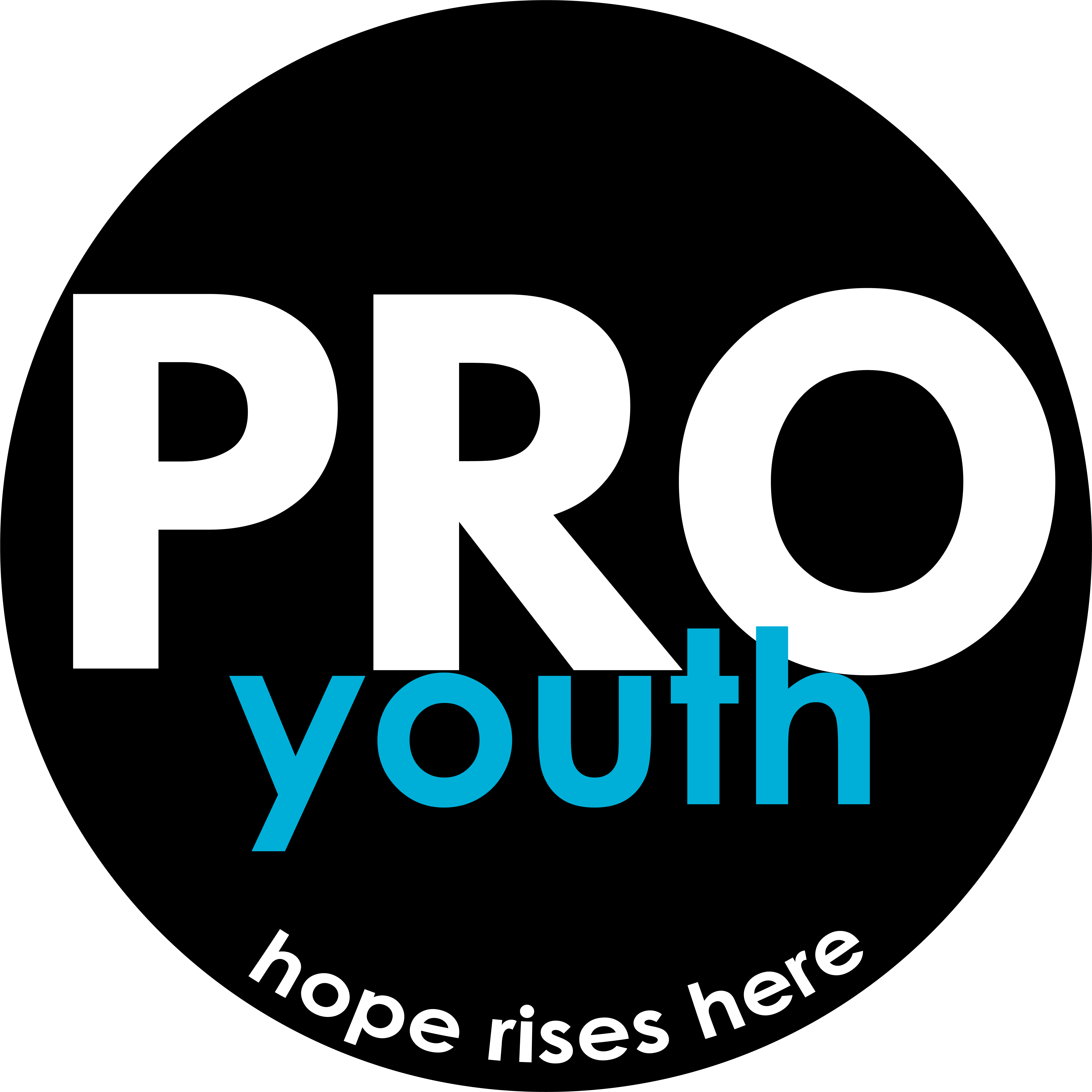 Pro Youth & Families